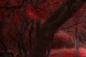 Ultimate Revelation Of Nature