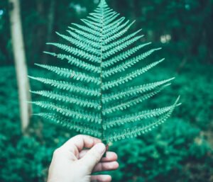 Photography Techniques